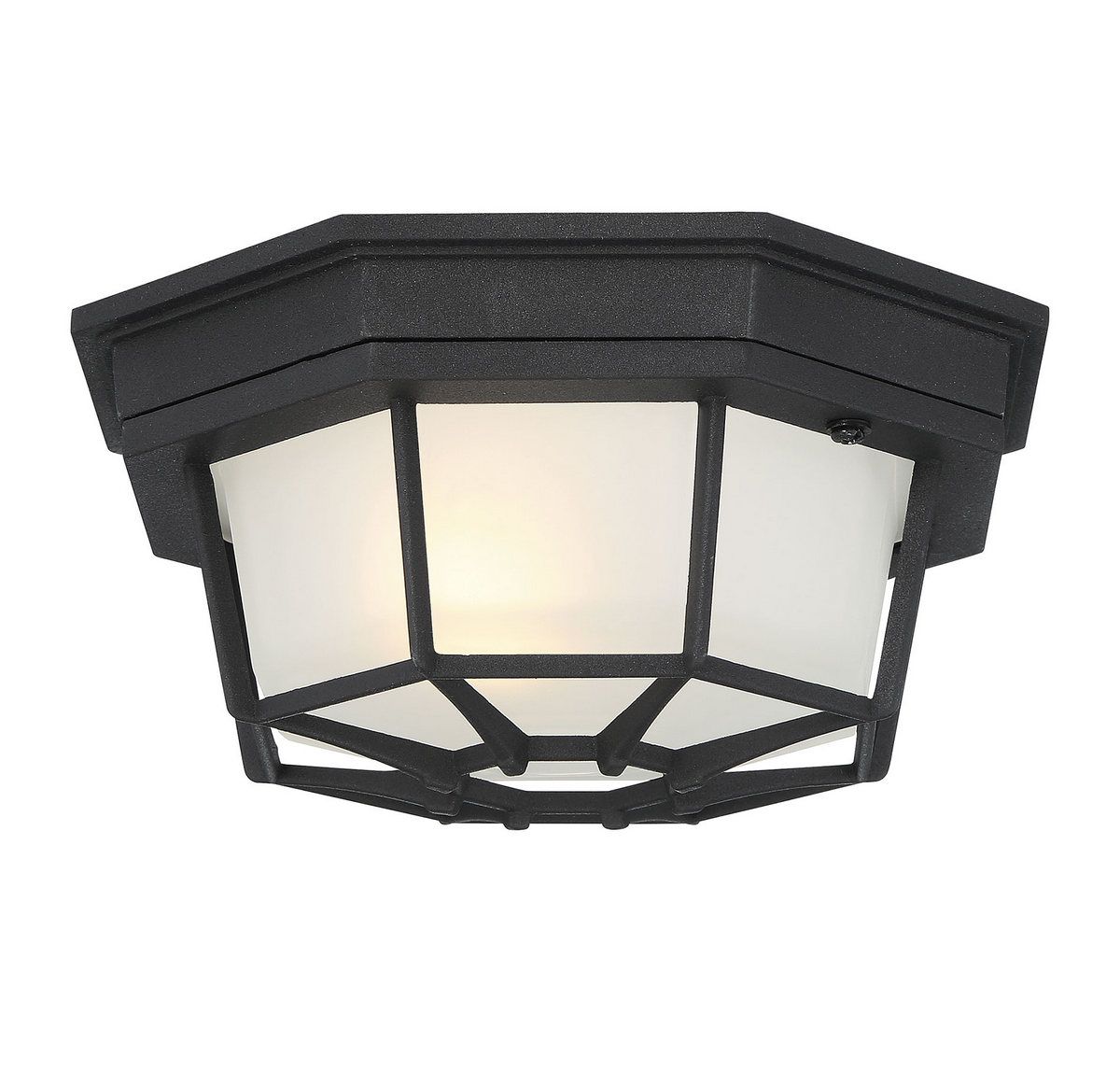 Savoy House 9 Outdoor Ceiling Light In Black