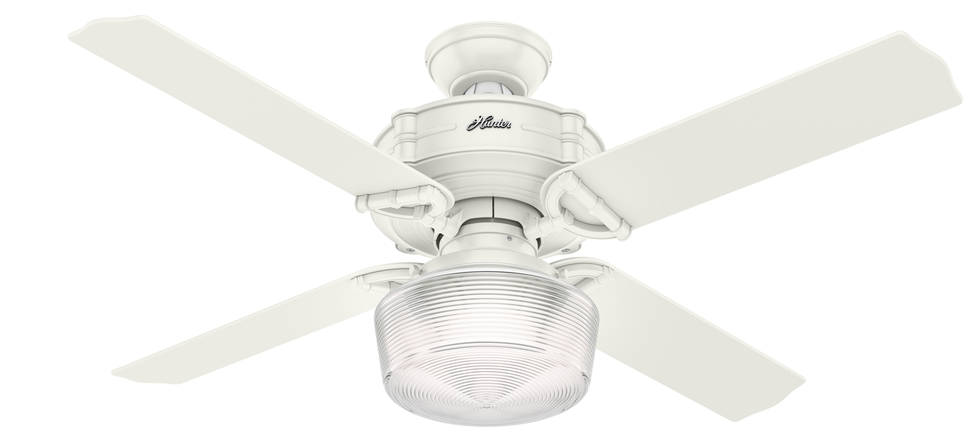 Hunter Brunswick 52 Indoor Ceiling Fan In Fresh White