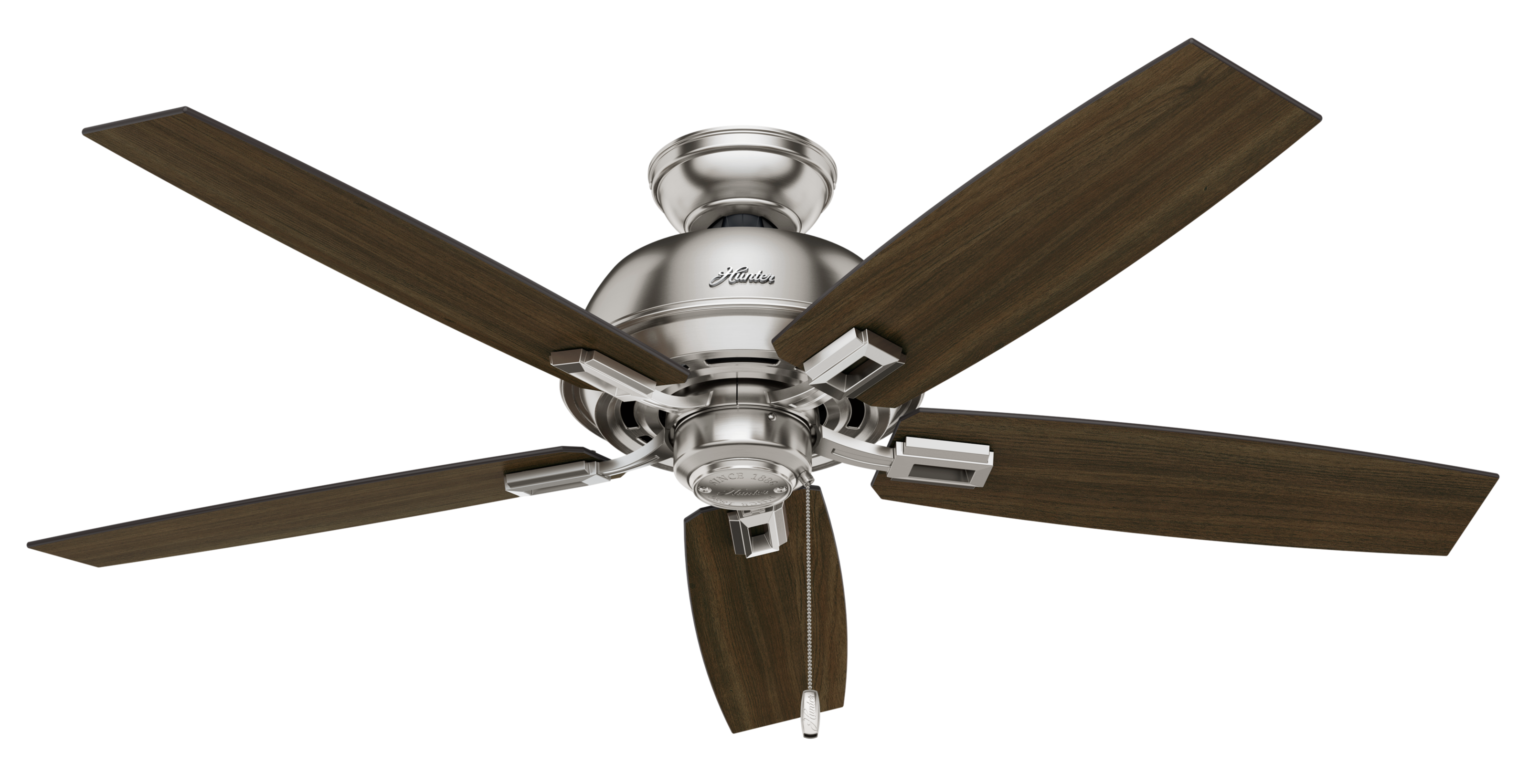 Hunter Donegan 3-Light 52" Indoor Ceiling Fan in Brushed ...